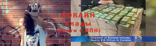 индика Баксан