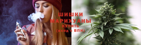 прущие крисы Рославль