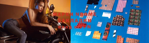 индика Баксан