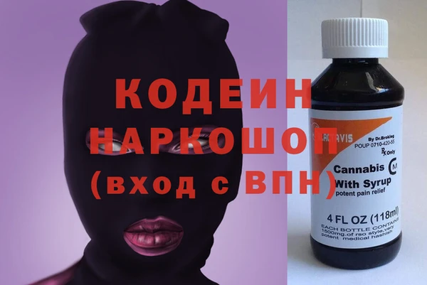 индика Баксан