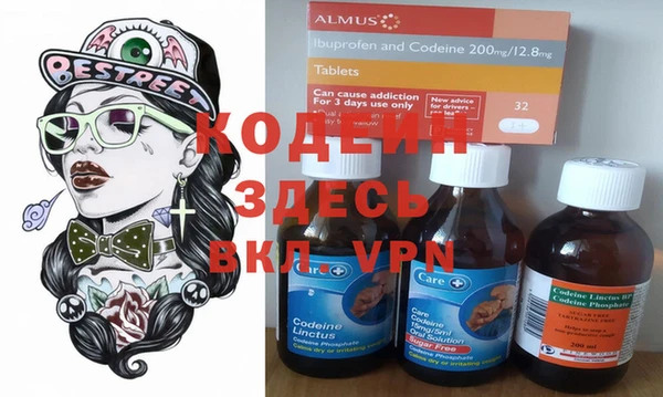 индика Баксан