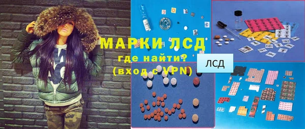 стафф Ростов