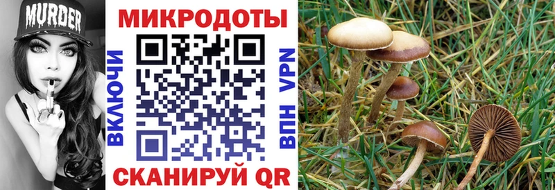 Галлюциногенные грибы MAGIC MUSHROOMS  купить закладку  Калининец 